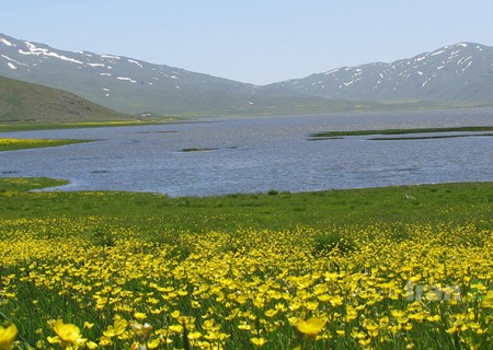 Neor lake view